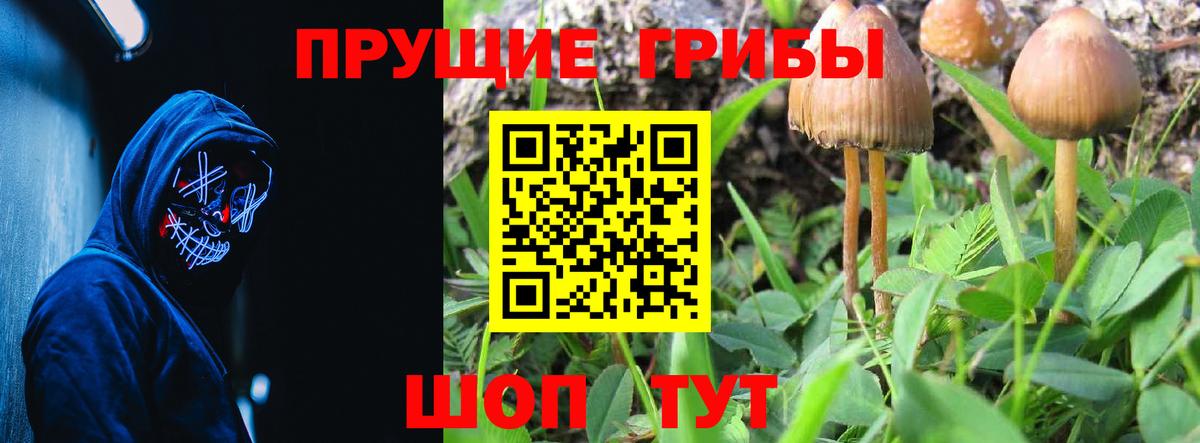 Псилоцибиновые грибы мухоморы  Вход с VPN  Новодвинск 