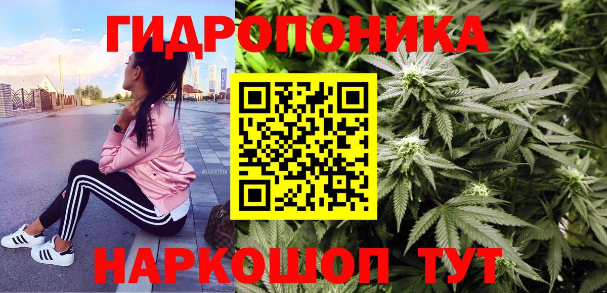 МАРИХУАНА индика Новодвинск